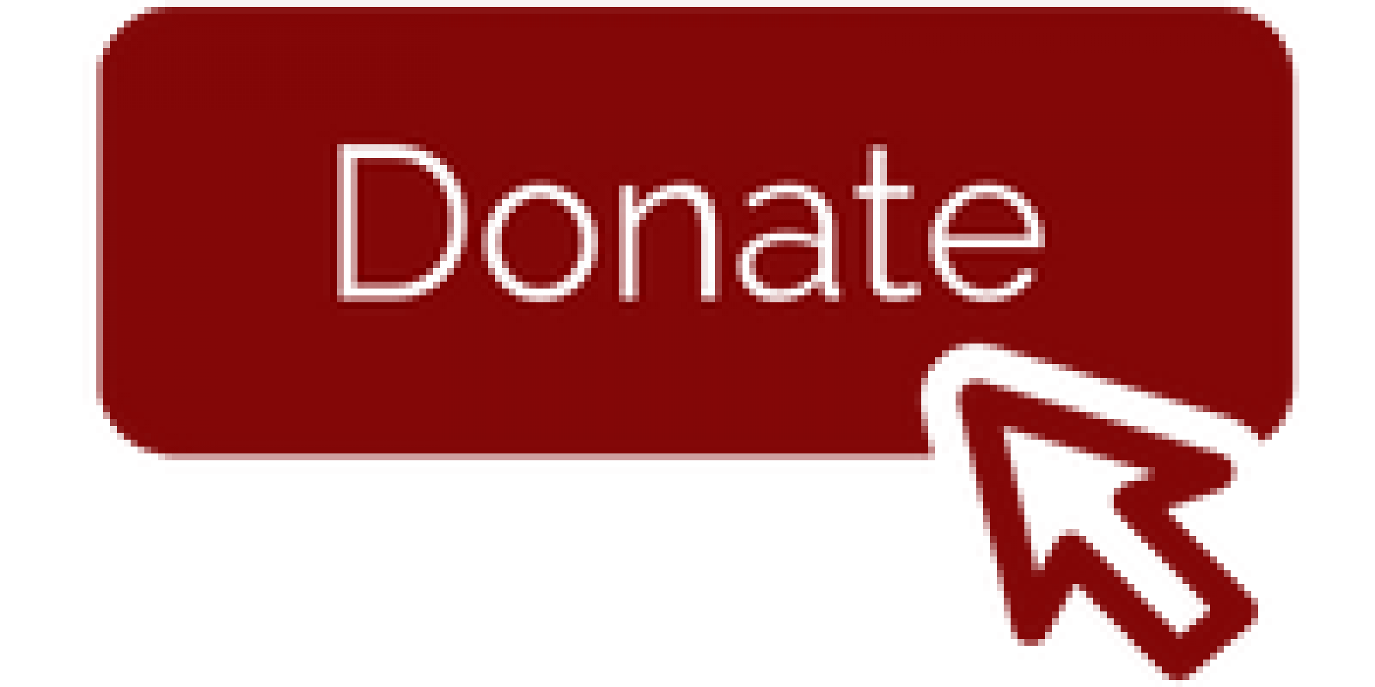 Donation Button